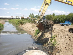 Будет в речке вода живая