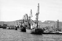 Разградский, защитник Де-Кастри