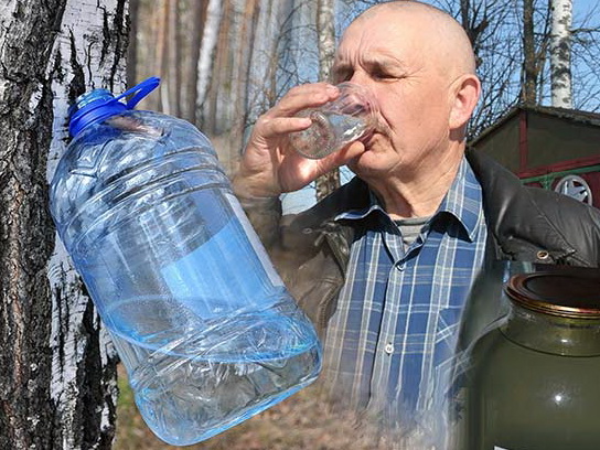Нужны ли грибы и орехи