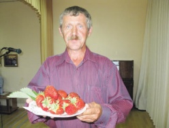 Вкус клубники