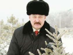 Средь дубов и сосен