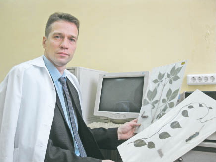 Лимонник из Хабаровска далёкий космос покорил