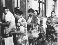 Бесплатные лекарства, как и сыр, оказались в правительственной мышеловке