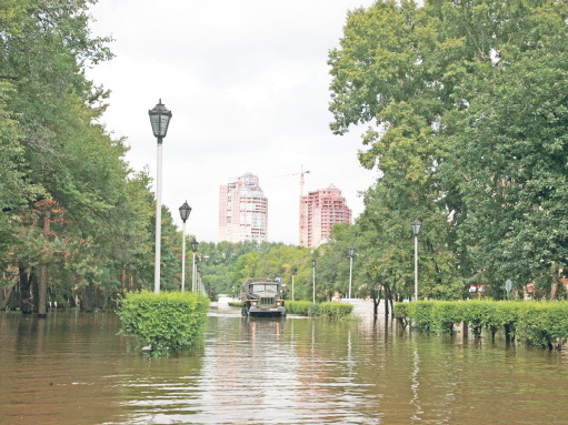 «Зелёный свет» зелёному убранству города