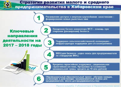 Поддержка предпринимателей в Хабаровском крае не снижается