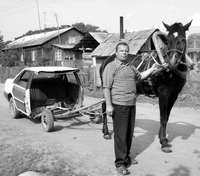 А я сяду в кабриолет…