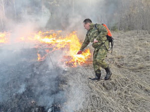 Поехал на пикник - не жги траву