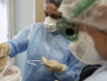 В Хабаровском крае выявлено 8 новых случаев заболевания коронавирусом