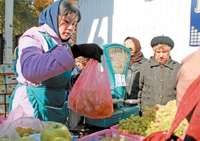 Базы и магазины ждут массовые проверки