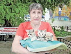 Десять секретов британца
