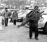 А шишки-то натуральные!