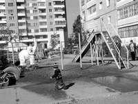 Целый слон во дворе