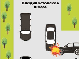 Иномарка встретилась с… лосем
