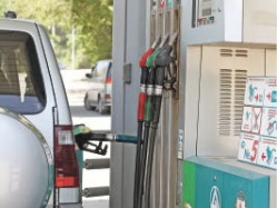 «GreenEco» на службе у человека 