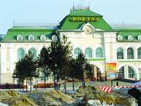 Морозный январь - время сажать сосны
