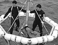 Амфибия ищет моряков