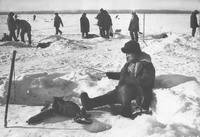 Рыбы чувствуют себя в Амуре, как в... воде