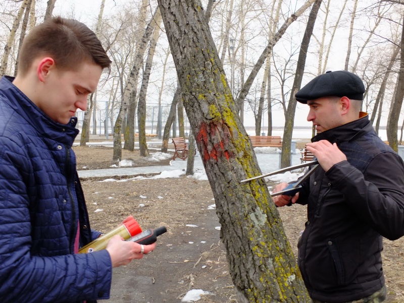 В Хабаровске научились ставить диагноз... тополям