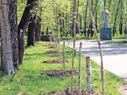 Зеленей, любимый город
