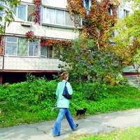 Были бы миллиарды…