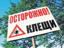 Клещи уже  вышли на охоту