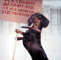 Хорошо быть кискою, хорошо -­ собакою...
