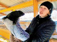 Секреты самой настоящей норки