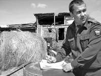 Пожарных нет, все листовки пойдут на растопку