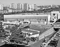 На Центральном рынке не место «королям»