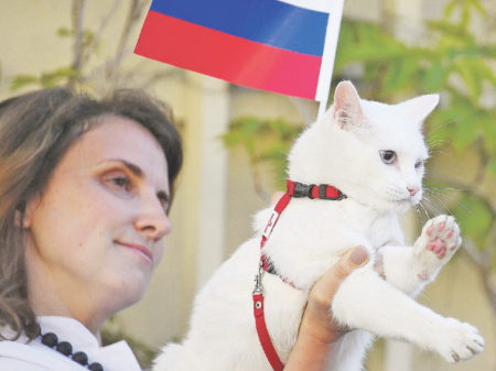 Наследники осьминога Пауля