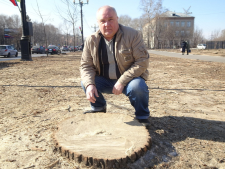 Остался пень в весенний день…