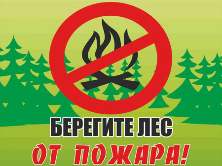 Выходной за городом - не повод для костра
